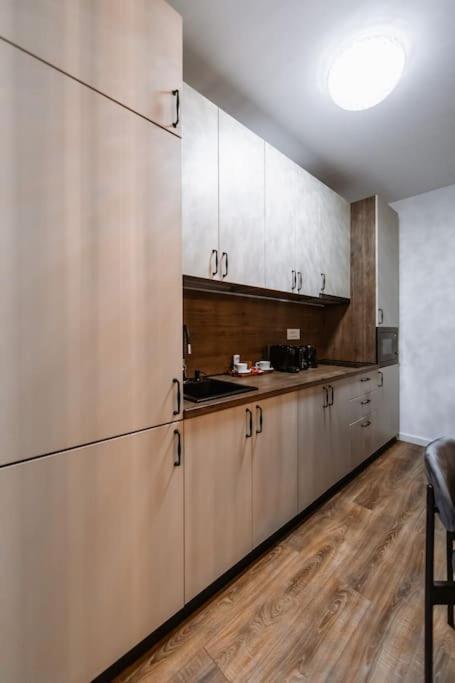Eliss Studio Sinaia Bagian luar foto