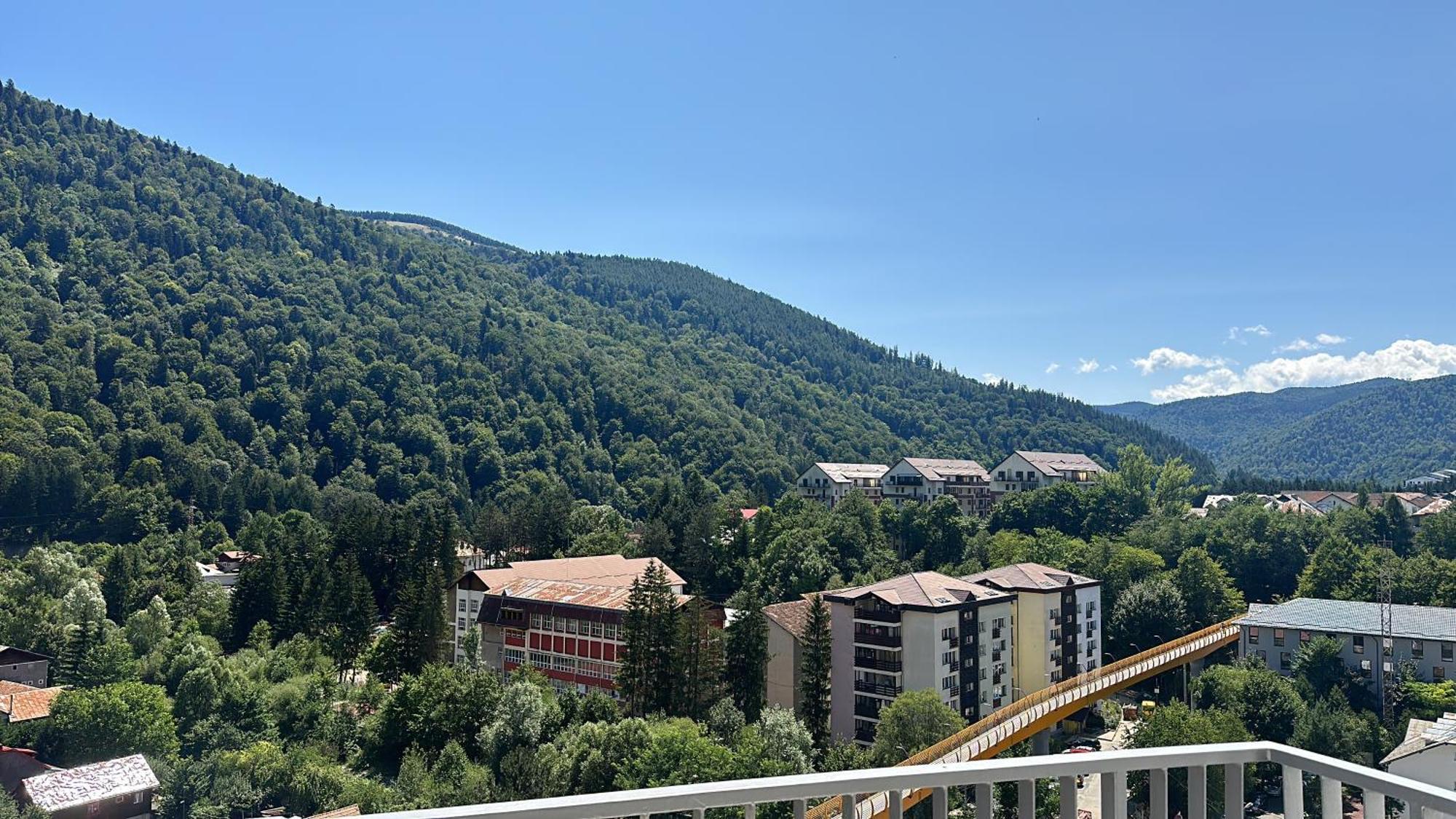 Eliss Studio Sinaia Bagian luar foto